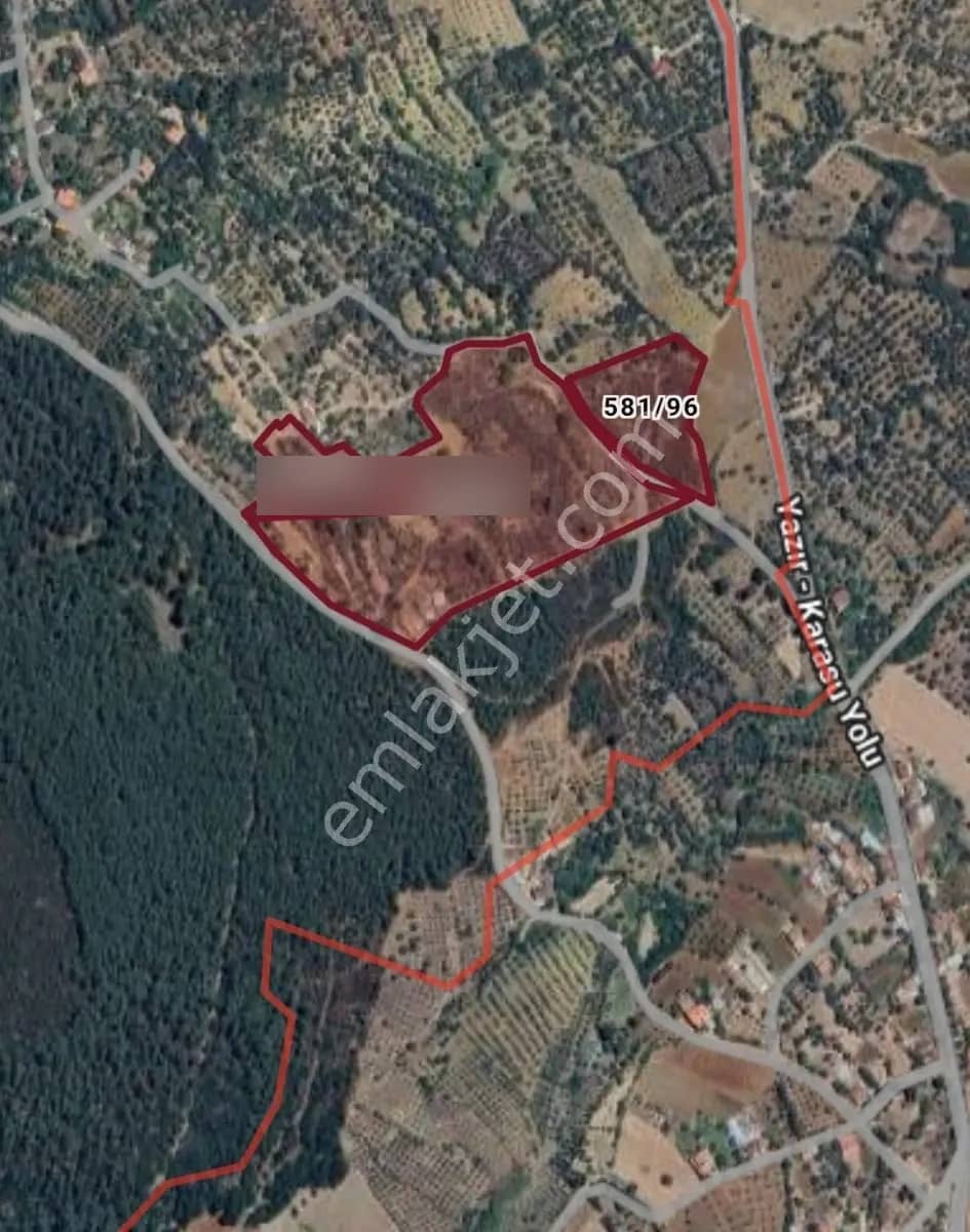 Aydın Karacasu Satılık Zeytinlik, 43.706m2, 3 Bitişik Parsel ilan görseli