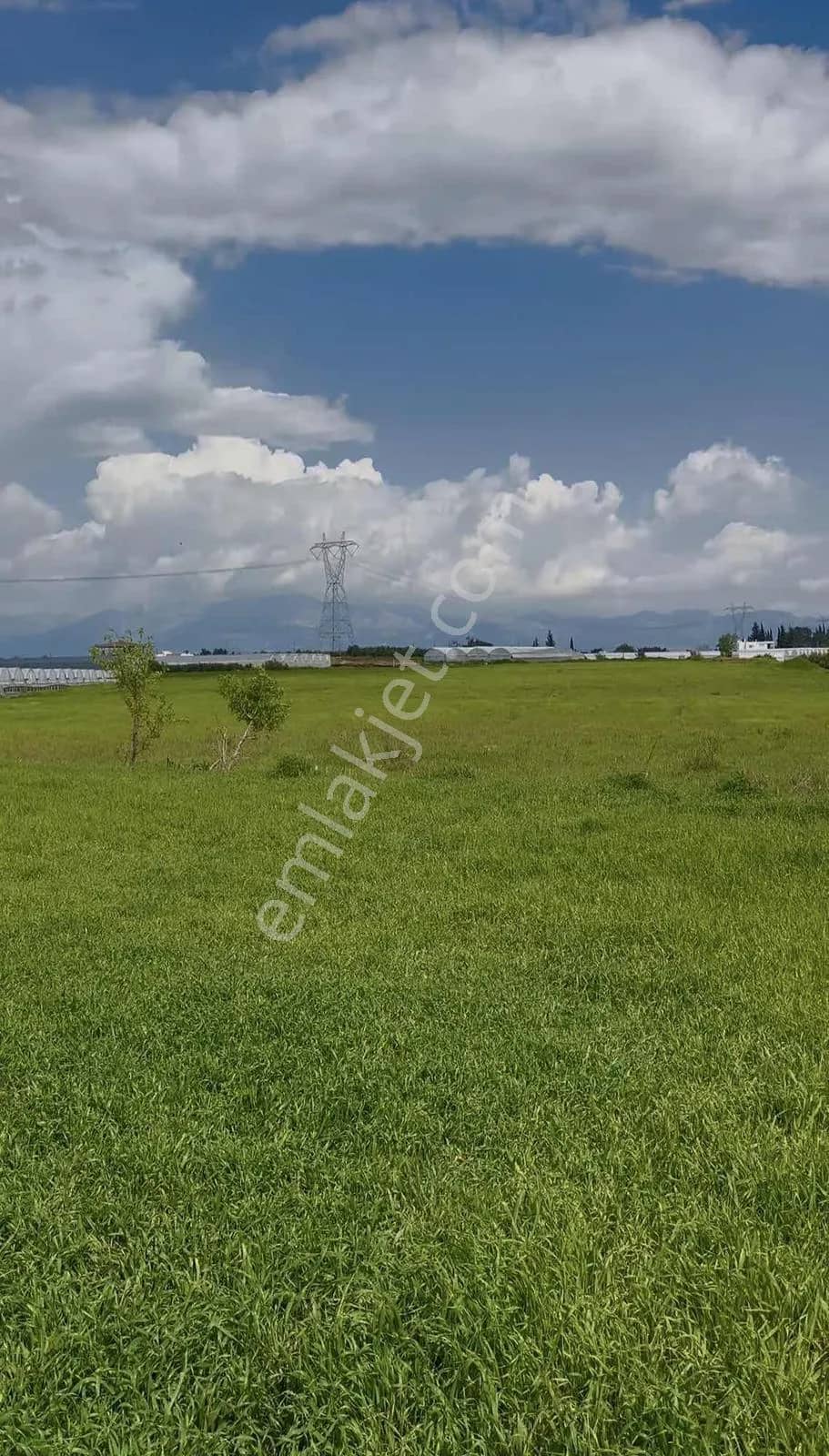 Ayşe Duvar'dan Kurşunluda 18.669 M² Satılık Tarım Arazisi ilan görseli