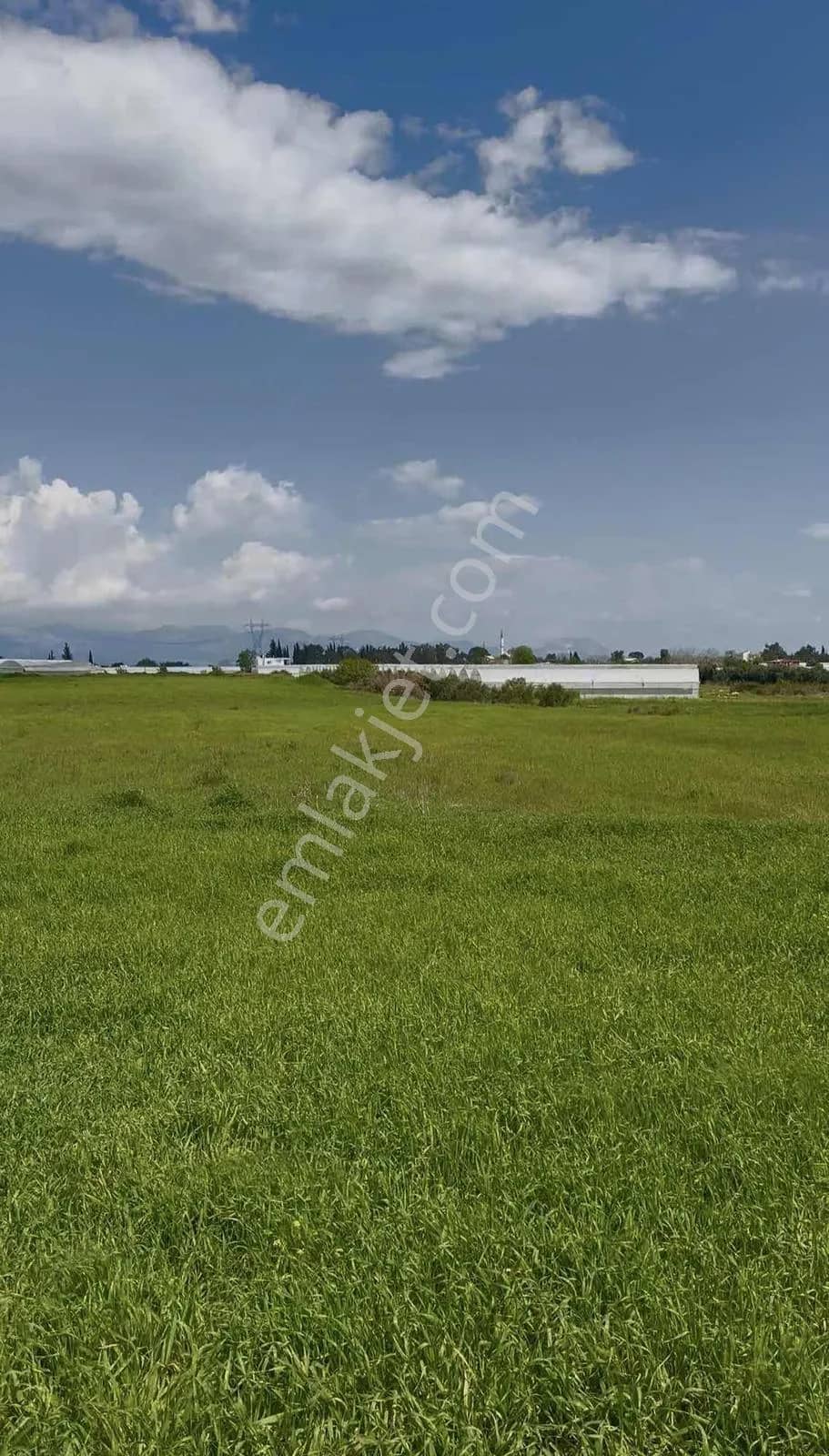 Ayşe Duvar'dan Aksu Kurşunluda 23.756 M² Dev Tarla Fırsatı ilan görseli