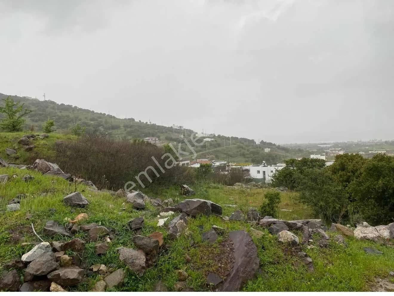 Ayşe Yenidoğan'dan Bodrum Milas Meşelik Mevkinde Arsa