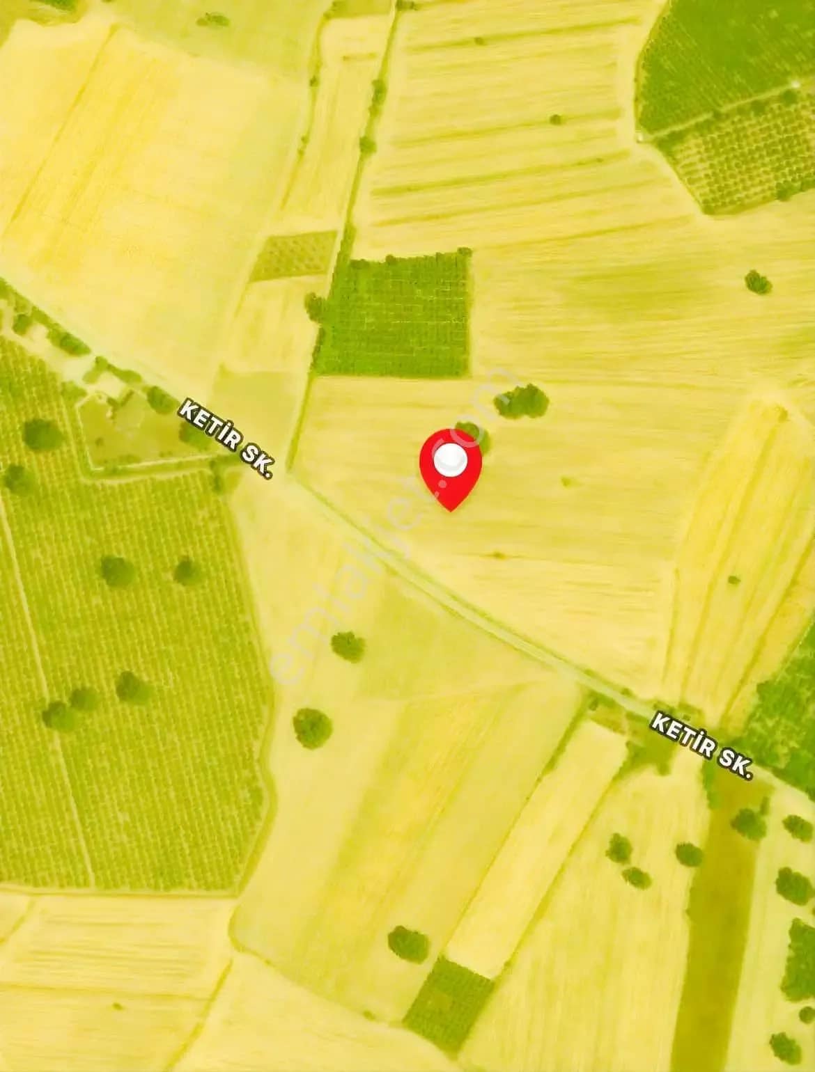 Kızıllı'da Asvalt Yola Sıfır 36879 M2 Tarla ilan görseli