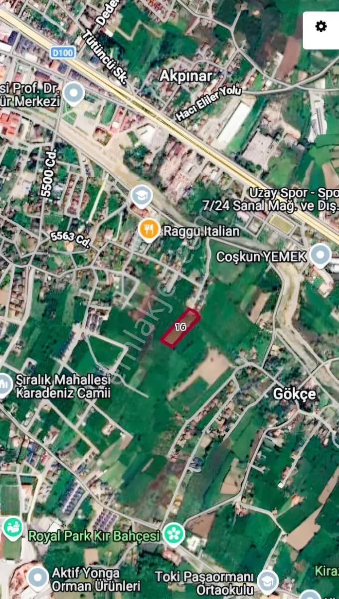 Düzce Şıralok'ta İmara Sınır 8360m2 Satılık Tarla