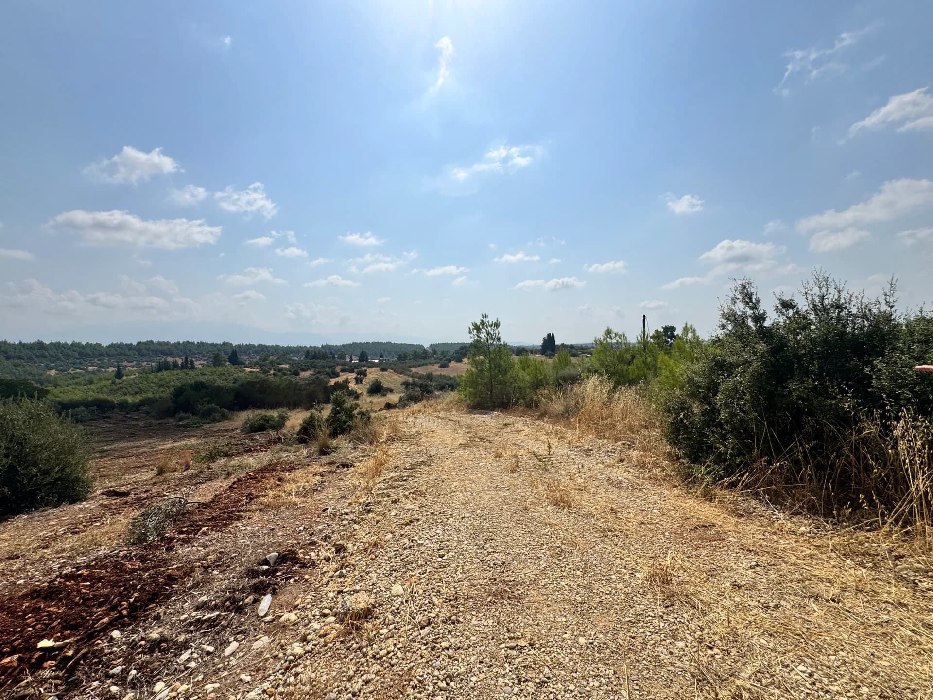 Olha L. gönderi medyası — görsel 1