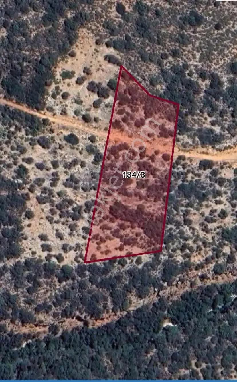 Ender Kortan'dan Kaş Gökçeören'de Tarla