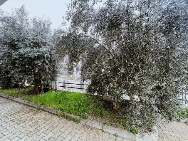 Merkezi Konumda, Park Manzaralı Ferah 2+1 Daire — görsel 11