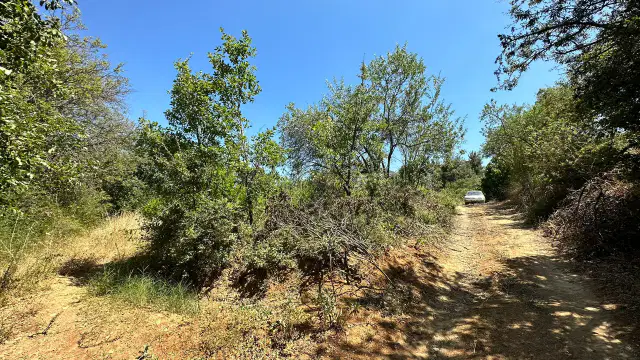 Çeltikçi Kuzköy'de Köyiçi 500 m2 Satılık Bahçe Yol-Su Mevcut — görsel 17