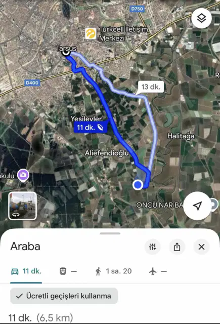 Mersin / Tarsus Mantaş Mahallesinde Narenciye Bahçesi — görsel 2