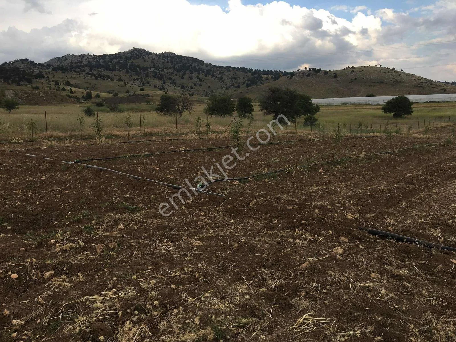 Burdur-fethiye Yoluna Cephe | 4011 M² Damla Sulama+230 Elma — görsel 16