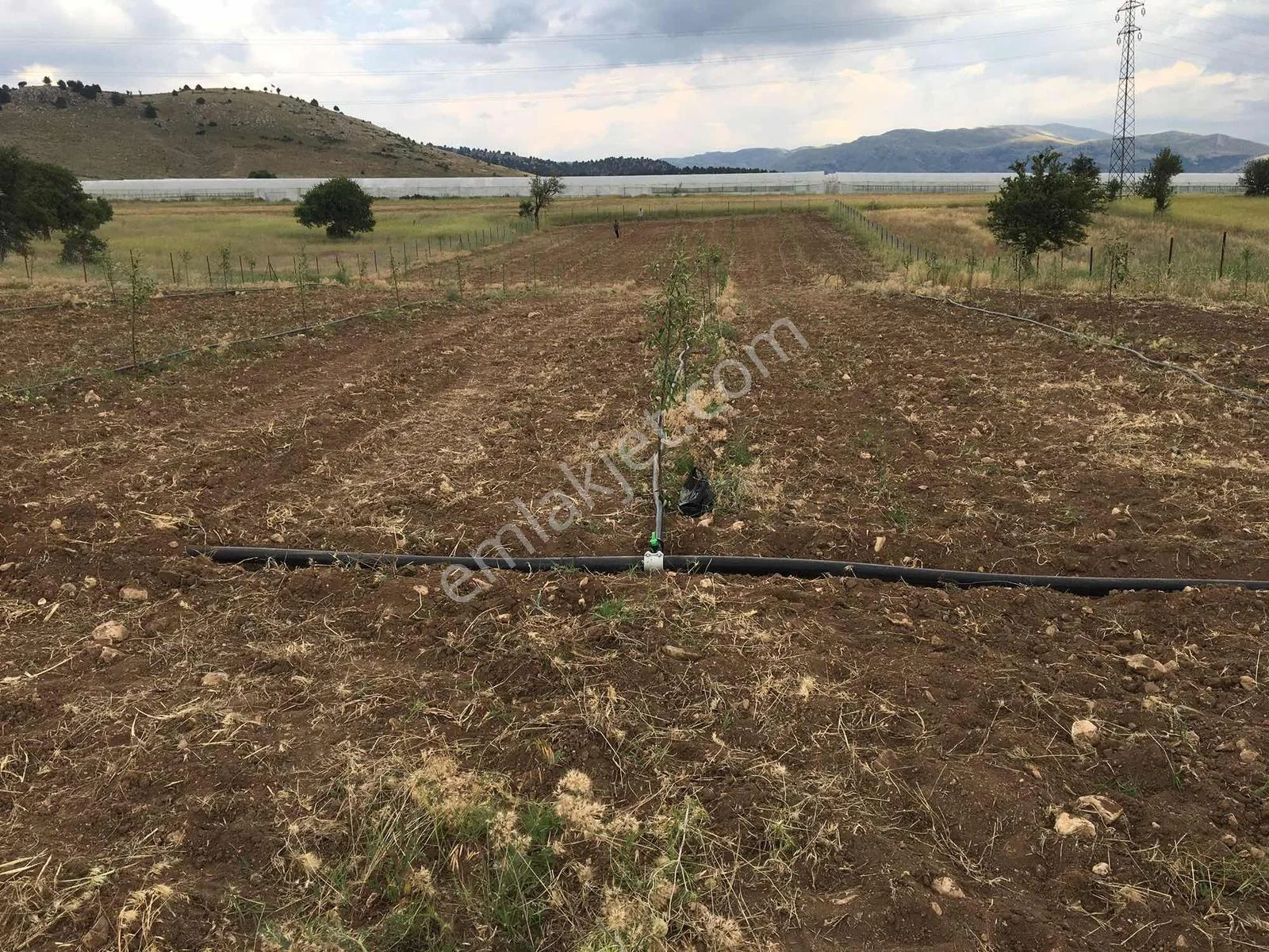 Burdur-fethiye Yoluna Cephe | 4011 M² Damla Sulama+230 Elma — görsel 17