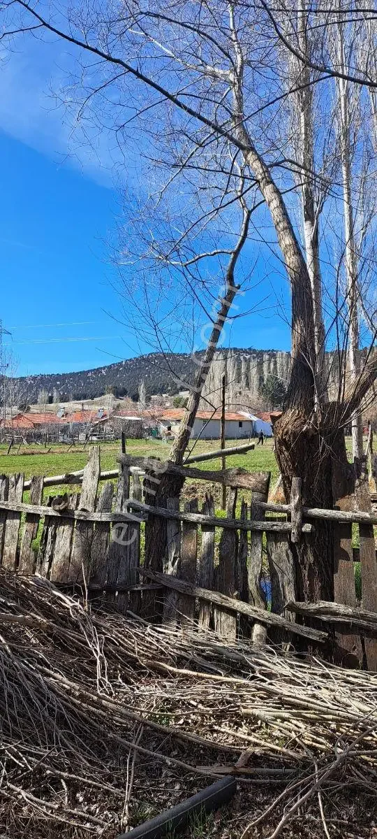 Yaylada Satılık Tarla — görsel 3