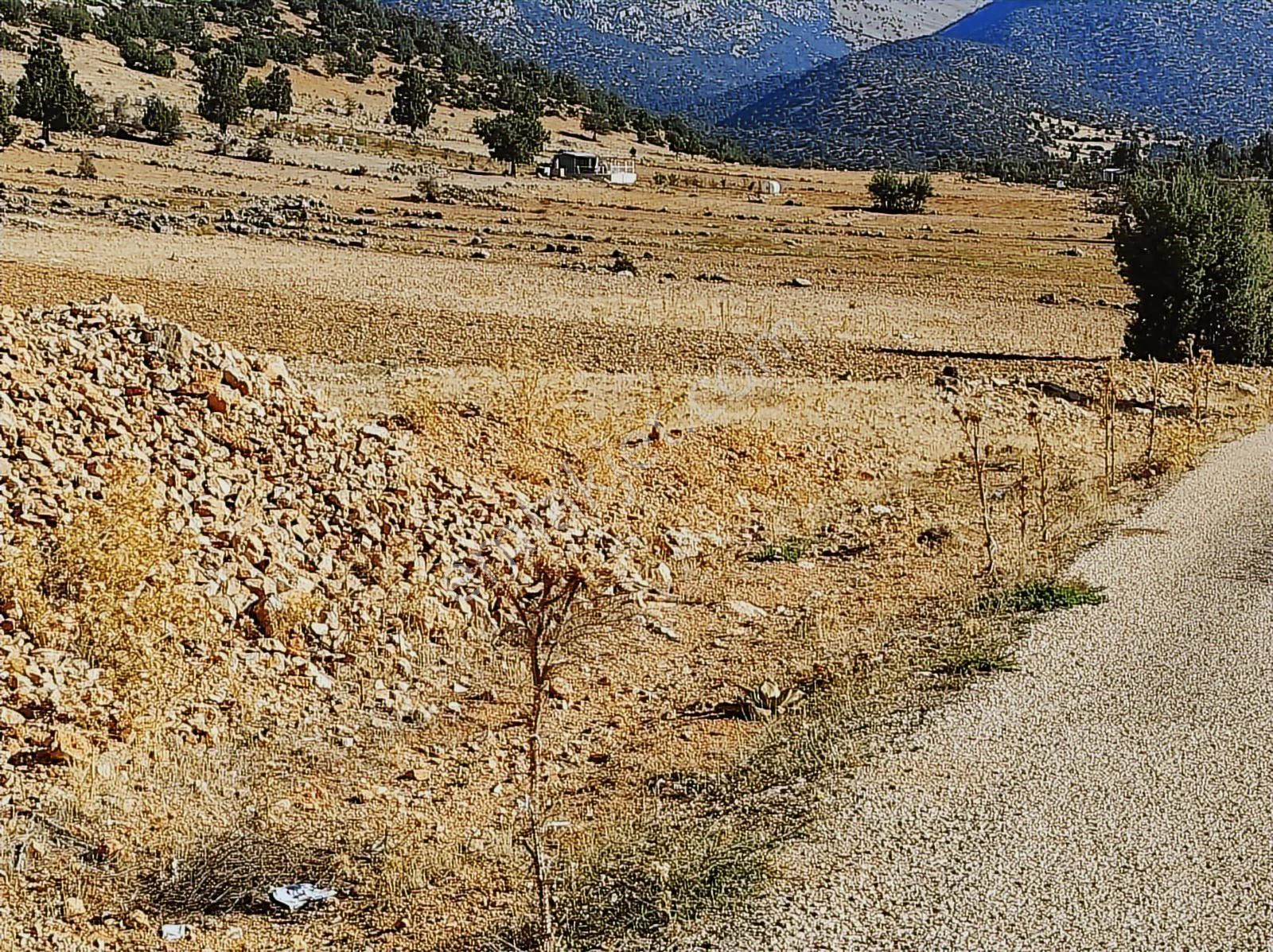 Korkuteli'nde Yola Cephe Tarla — görsel 3