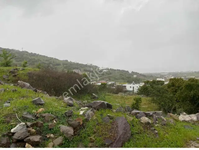 Ayşe Yenidoğan'dan Bodrum Milas Meşelik Mevkinde Arsa