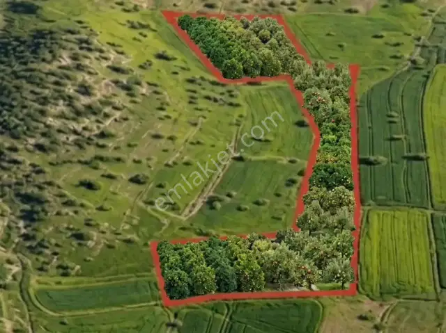 Tefenni Yuva 18.260 M² Müstakil T| Yola Yakın | Son Fiyat Acil — görsel 4