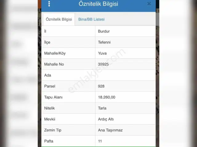 Tefenni Yuva 18.260 M² Müstakil T| Yola Yakın | Son Fiyat Acil — görsel 7