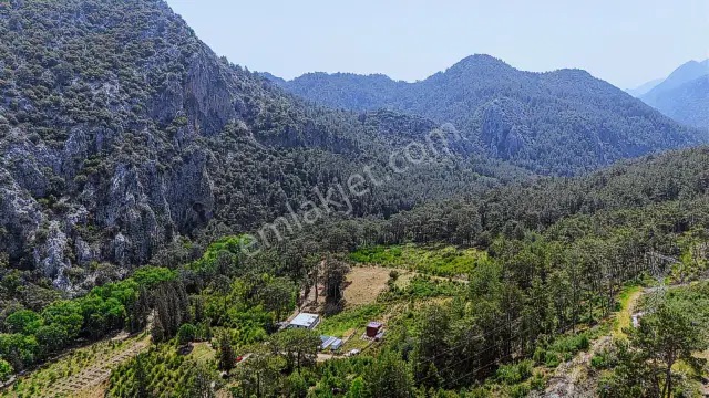 Kemer Ulupınar'da Satılık 2291 M2 Arazi — görsel 3