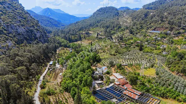 Kemer Ulupınar'da Satılık 2291 M2 Arazi — görsel 4
