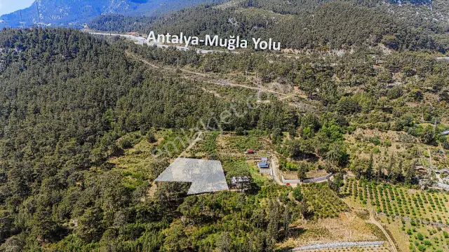 Kemer Ulupınar'da Satılık 2291 M2 Arazi — görsel 5