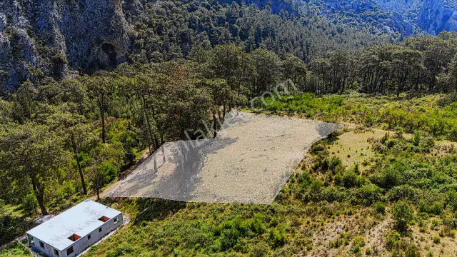 Kemer Ulupınar'da Satılık 2291 M2 Arazi — görsel 9