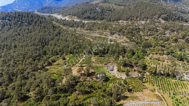 Kemer Ulupınar'da Satılık 2291 M2 Arazi — görsel 11