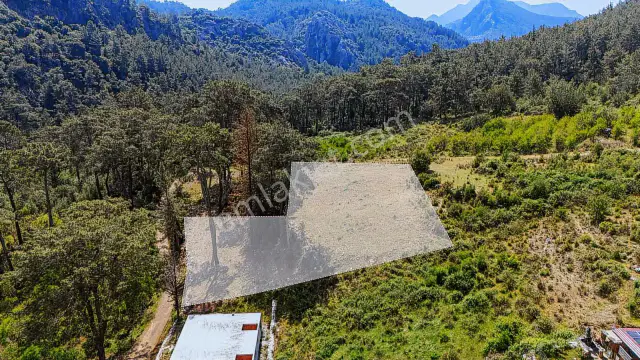 Kemer Ulupınar'da Satılık 2291 M2 Arazi — görsel 14