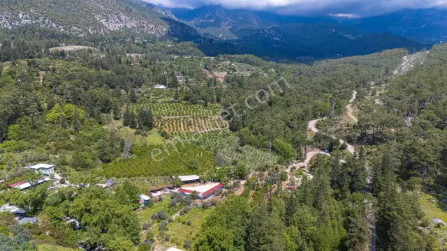 Kemer Ulupınar'da Satılık 2291 M2 Arazi — görsel 23