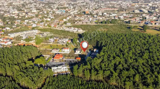 Döşemealtı, Yalınlı |ormana Sıfır|villalık, Köşe Parsel | 436 M² — görsel 9