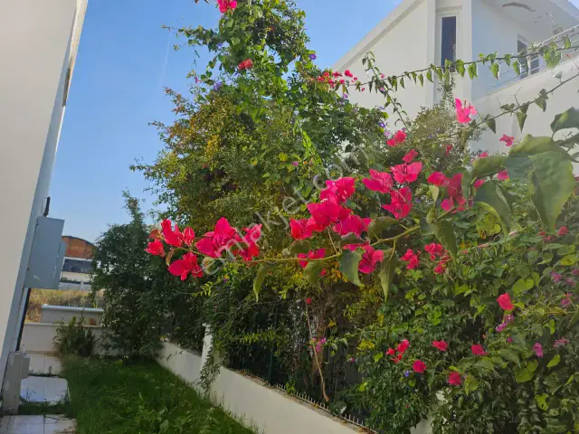The Land Of Legens Yakını Villa — görsel 13