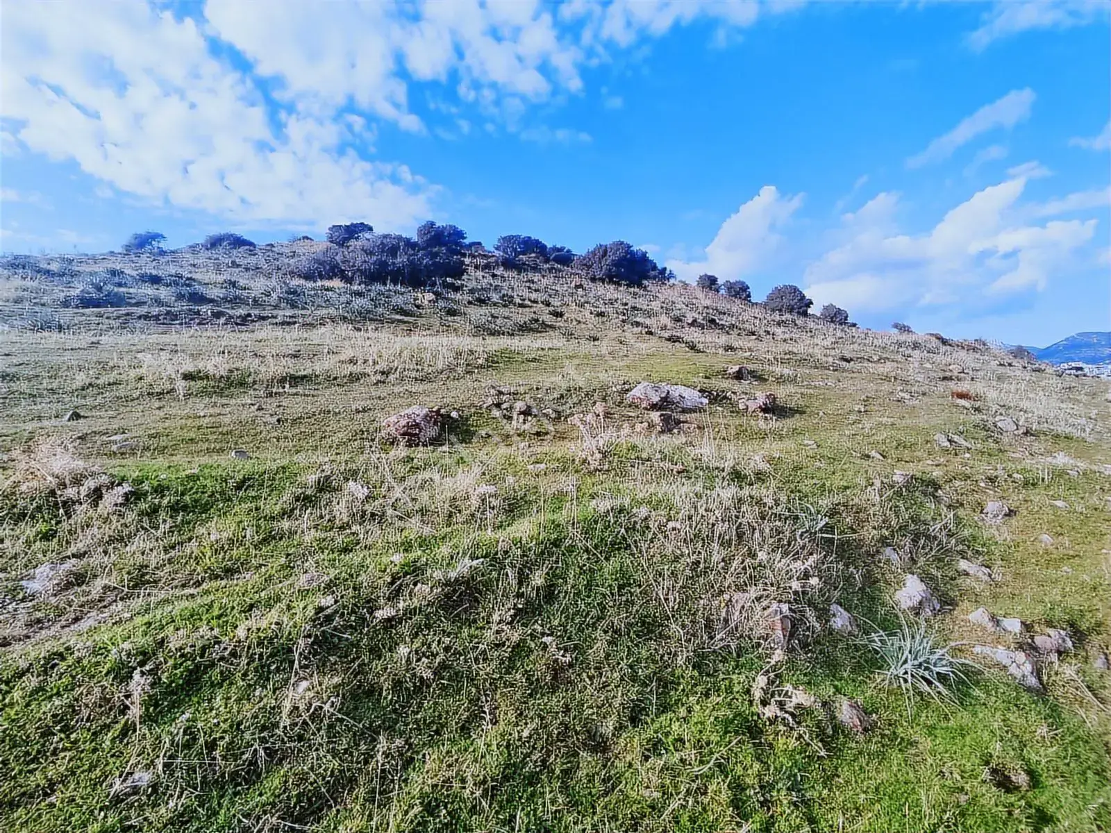 Koleksiyon Değerinde Denize Sıfır 2.282m2 Fırsat Arazi — görsel 4