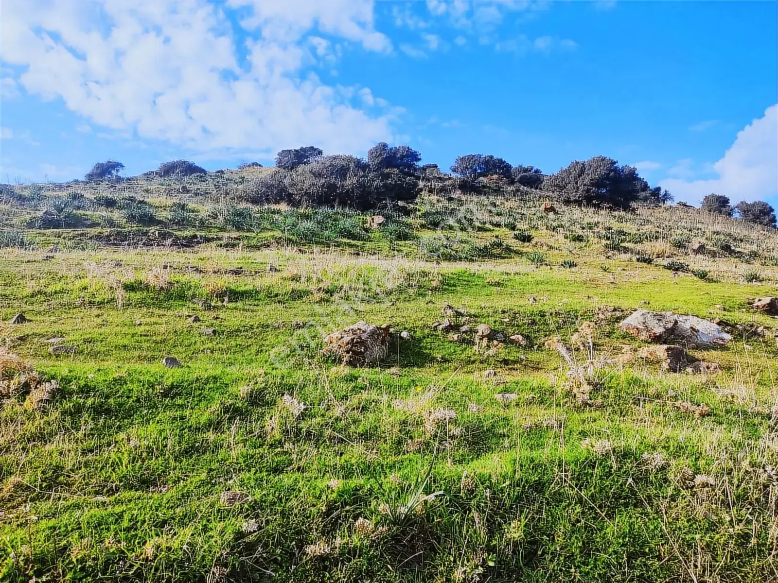 Koleksiyon Değerinde Denize Sıfır 2.282m2 Fırsat Arazi — görsel 6