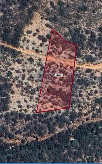 Ender Kortan'dan Kaş Gökçeören'de Tarla