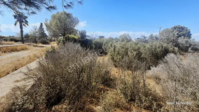 Konut İmarlı Arsa Geleceğinizi Burada İnşa Edin. — görsel 6