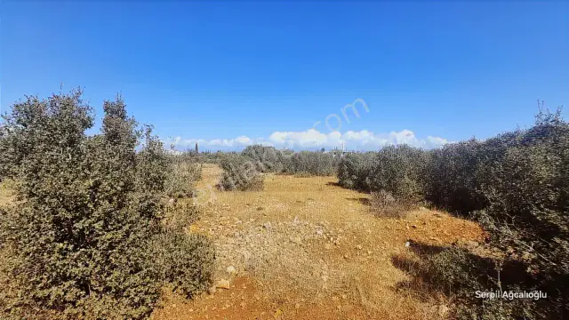 Konut İmarlı Arsa Geleceğinizi Burada İnşa Edin. — görsel 21
