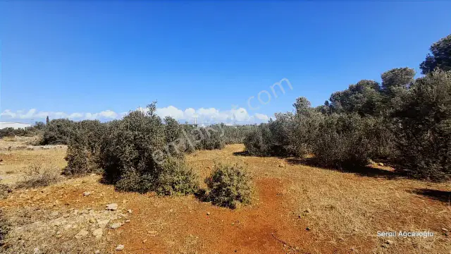 Konut İmarlı Arsa Geleceğinizi Burada İnşa Edin. — görsel 22
