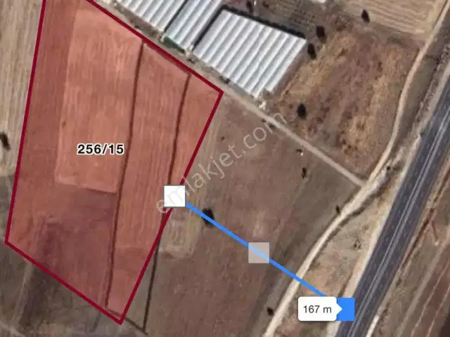 Tefenni/beyköy| Sera, Depo, Sulu Tarım| Ana Yola Yakın|29.208 M² — görsel 3
