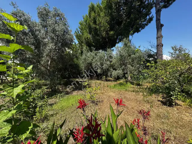 Belek Site İçinde Geniş Bahçeli Teraslı 3+1 Satılık Villa — görsel 2