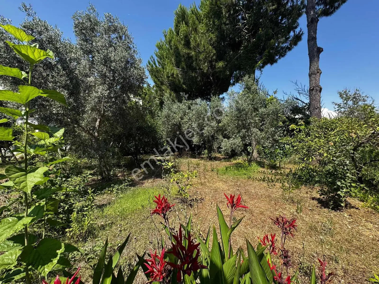 Belek Site İçinde Geniş Bahçeli Teraslı 3+1 Satılık Villa — görsel 2