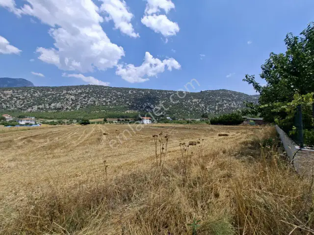 Bayatbademleri Köyü'nde Satılık Hisseli Tarla — görsel 20