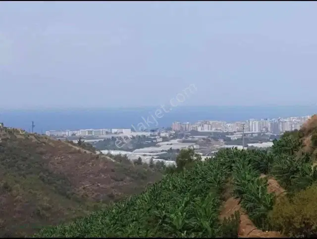 Alanya Kargıcakta İmarlı Satılık Villa Arsası — görsel 3
