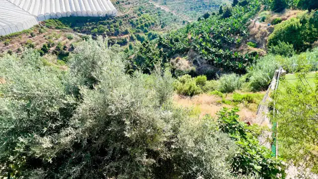 Alanya Kargıcakta İmarlı Satılık Villa Arsası — görsel 5