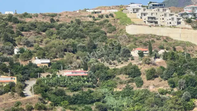 Alanya Kargıcakta İmarlı Satılık Villa Arsası — görsel 13
