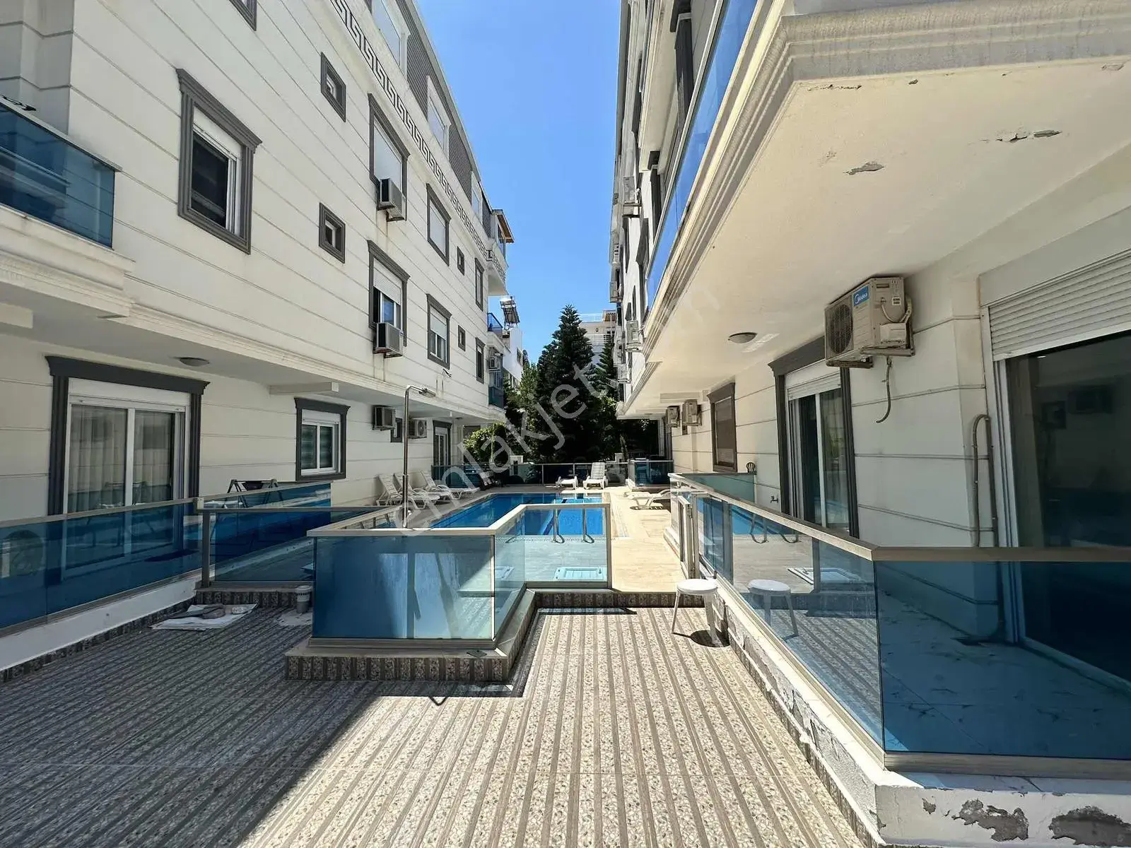 Aynura Şimşek'ten Barınaklarda Satılık — görsel 2