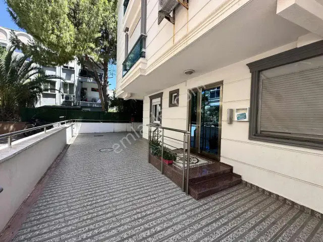 Aynura Şimşek'ten Barınaklarda Satılık — görsel 3