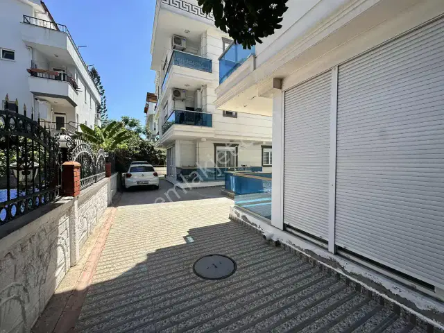 Aynura Şimşek'ten Barınaklarda Satılık — görsel 4