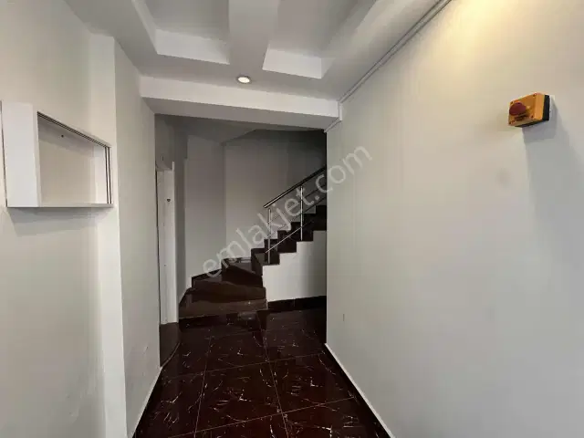 Aynura Şimşek'ten Barınaklarda Satılık — görsel 6