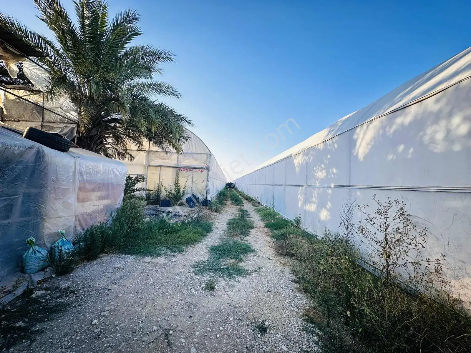 Aksu Kunduda 18.860 M² Seralı Mükemmel Konum Yatırım Fırsatı — görsel 4