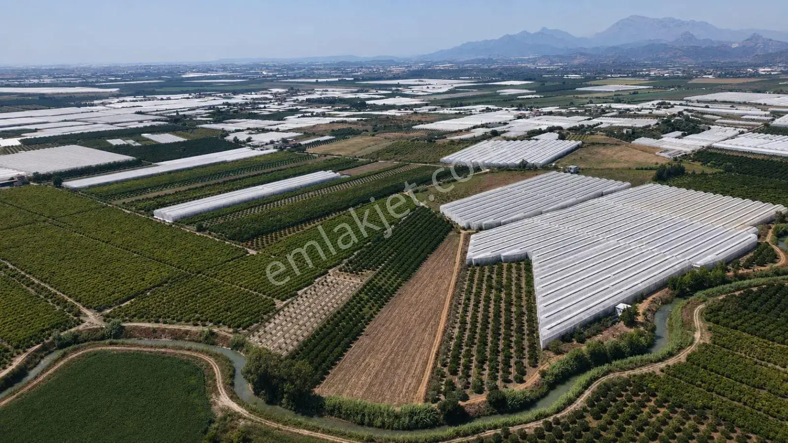500 Adet Nar Ve Portakal Ağaçları İle Gelir Getiren Tarla — görsel 8