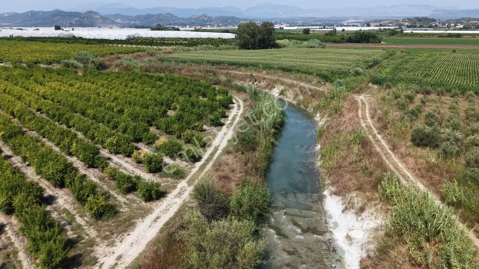 500 Adet Nar Ve Portakal Ağaçları İle Gelir Getiren Tarla — görsel 10