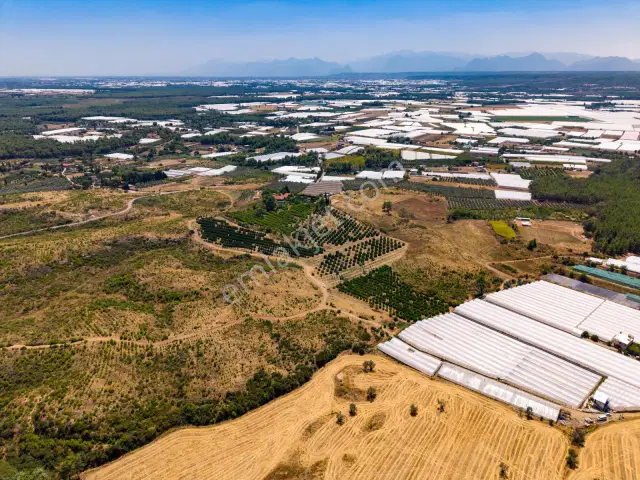 Aksu Kurşunlu 6.979 M2 Satılık Müstakil Bahçe