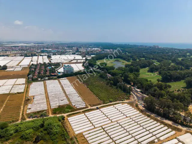 Belek Oteller Bölgesinde Ana Yola Sıfır 6.120 M2 Hisse Satılık — görsel 13