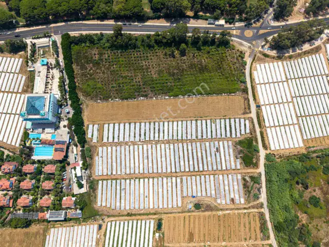 Belek Oteller Bölgesinde Ana Yola Sıfır 6.120 M2 Hisse Satılık — görsel 15